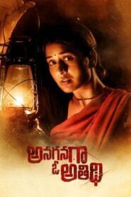 Anaganaga O Athidhi (2020) Dual Audio [Hindi ORG. + Telugu] WEB-DL