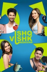 Download Ishq Vishk Rebound (2024) HDRip Hindi Bollywood Movie