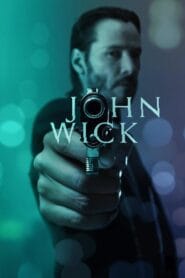 Download John Wick (2014) BluRay Dual Audio {Hindi-English} 