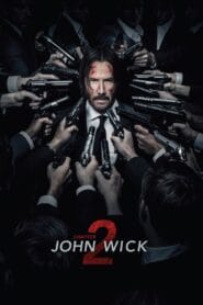 Download John Wick: Chapter 2 (2017) BluRay Dual Audio {Hindi-English} 