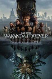 Download Black Panther: Wakanda Forever (2023) iMAX Dual Audio [Hindi DD5.1 – English]