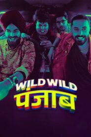 Download Wild Wild Punjab (2024) WEB-DL [Hindi ORG. + Multi Audio] Full Movie 