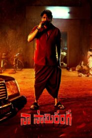 Download Naa Saami Ranga (2024) Web-Dl Dual Audio {Hindi + Tamil} Full Movie