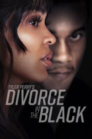 Download Tyler Perry’s Divorce in the Black – Prime Video (2024) WEB-DL Dual Audio {Hindi-English}