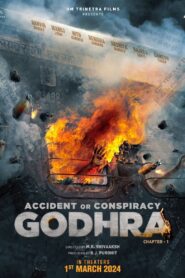 Download Accident or Conspiracy: Godhra (2024) Hindi Full Movie | HDTS