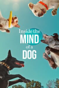 Download Inside The Mind Of A Dog (2024) WEB-DL Dual Audio {Hindi-English}