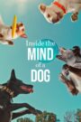 Download Inside The Mind Of A Dog (2024) WEB-DL Dual Audio {Hindi-English}