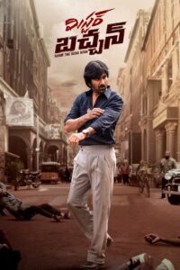 Download Mr Bachchan (2024) [HQ Hindi Dub] DS4K WEB-DL 