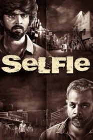 Download Selfie (2022) (Hindi + Tamil) Dual Audio UnCut Movie