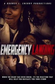 Download Emergency Landing (2023) Dual Audio {Hindi-Russian} Web-DL