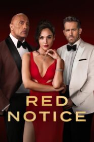 Red Notice (2021) Dual Audio {Hindi + Eng.} Full Movie ESub