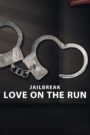 Download Jailbreak: Love on the Run (2024) WEB-DL Dual Audio [Hindi ORG. + English] Full Movie