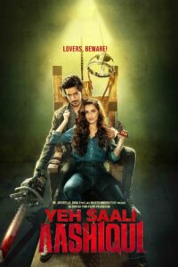 Yeh Saali Aashiqui (2019)