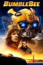 Download Bumblebee (2018) Blu-ray Dual Audio {Hindi-English}