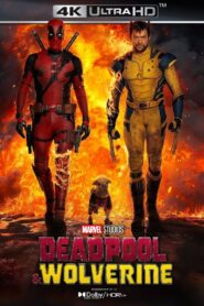 Download Deadpool & Wolverine (2024) WEB-DL [HD x264 & HEVC] (In English 5.1 DD) + ESubs