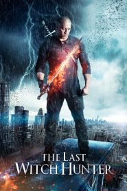 Download The Last Witch Hunter (2015) BluRay Dual Audio {Hindi-English}