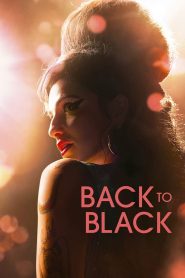 Download Back to Black (2024) BluRay Dual Audio [Hindi ORG. + English] Full Movie